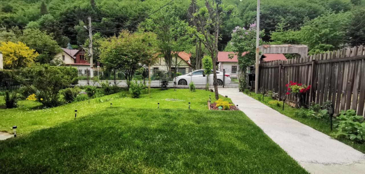 Casa Bunicilor Sinaia Βίλα Εξωτερικό φωτογραφία