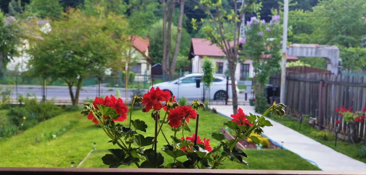 Casa Bunicilor Sinaia Βίλα Εξωτερικό φωτογραφία